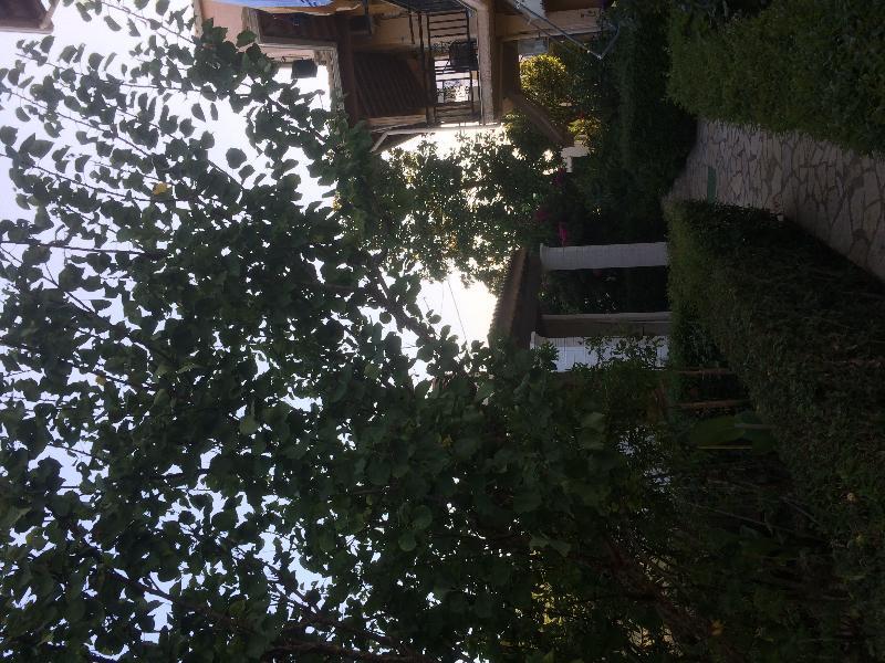 Villa Nefeli Agios Georgios  Buitenkant foto